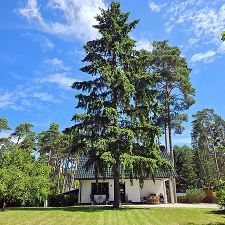 Exklusives Am Roofensee - Kamin, Designkueche & Naturidylle * Stechlin